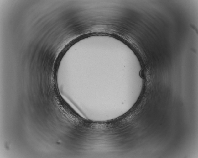 X0000101970880200808081549