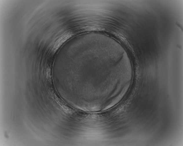 X0000101970881200808081549