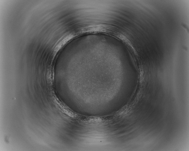 X0000101970882200808081548