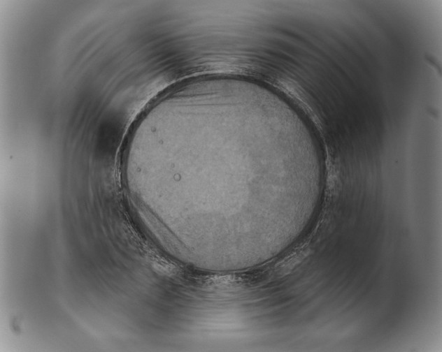 X0000101970883200808081548