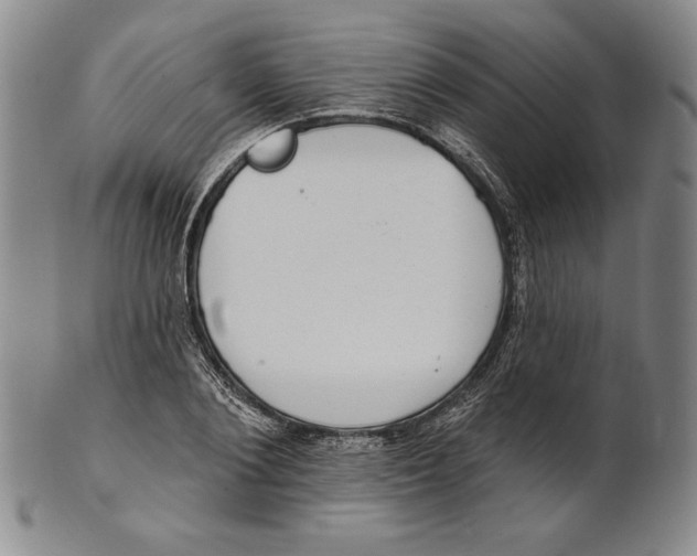 X0000101970884200808081548