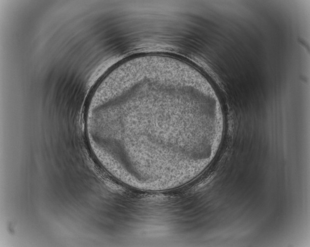 X0000101970885200808081548