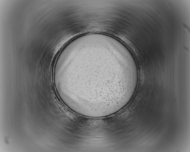 X0000101970886200808081548