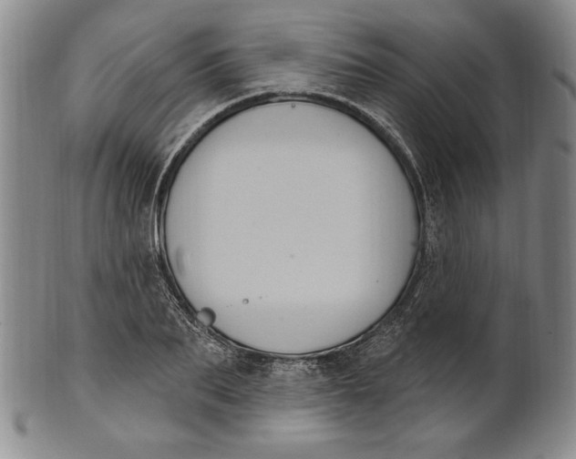 X0000101970887200808081548