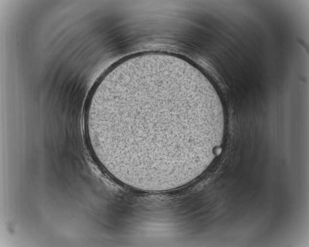 X0000101970888200808081548