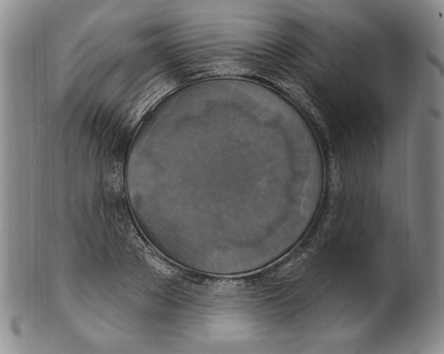 X0000101970889200808081548