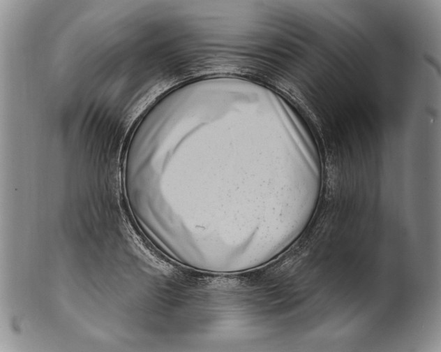 X0000101970890200808081548