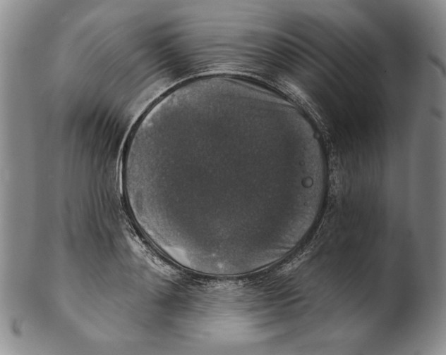 X0000101970892200808081548