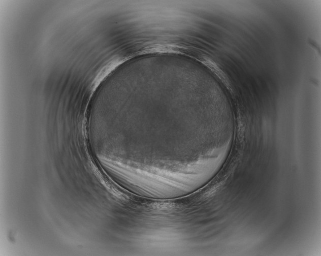 X0000101970893200808081548