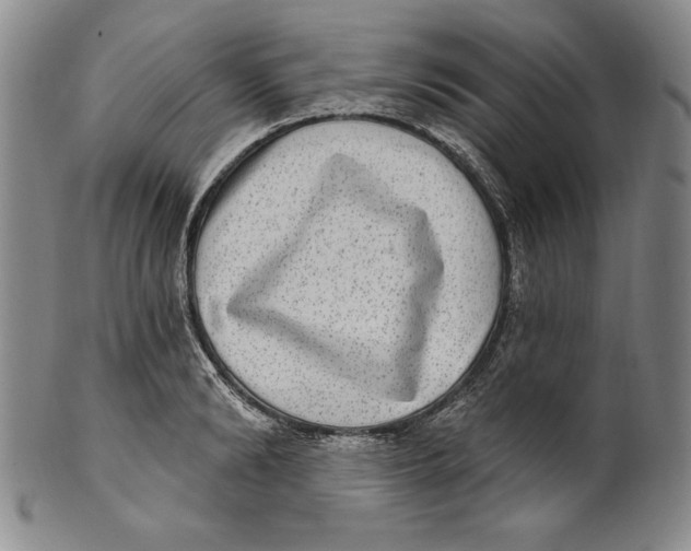 X0000101970894200808081548