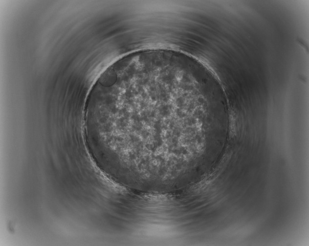 X0000101970895200808081548