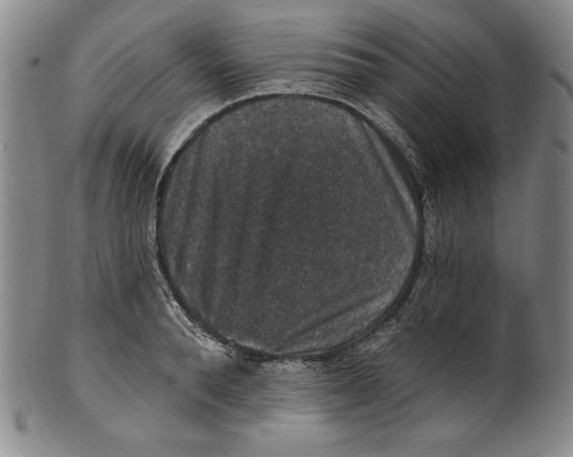 X0000101970896200808081548