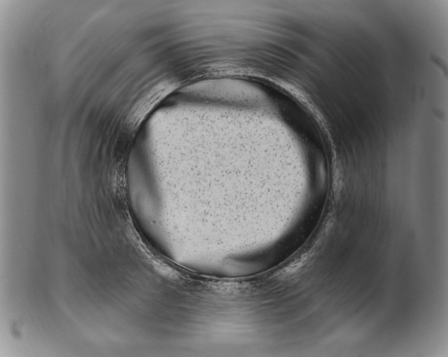 X0000101970897200808081548