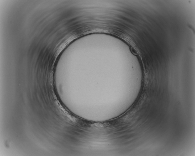 X0000101970898200808081548