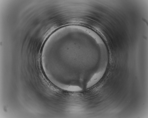 X0000101970899200808081548