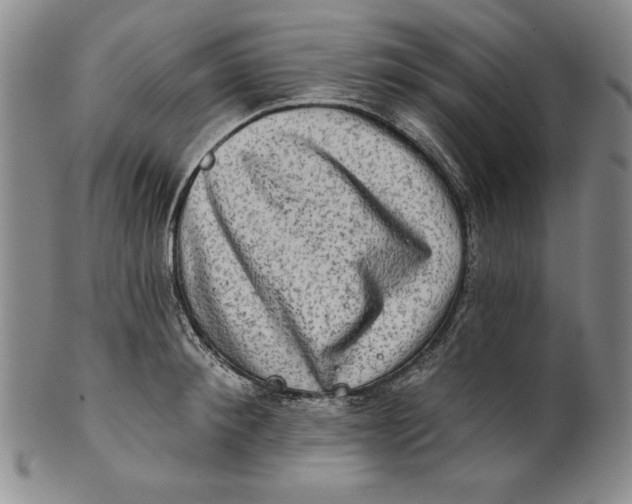 X0000101970900200808081548