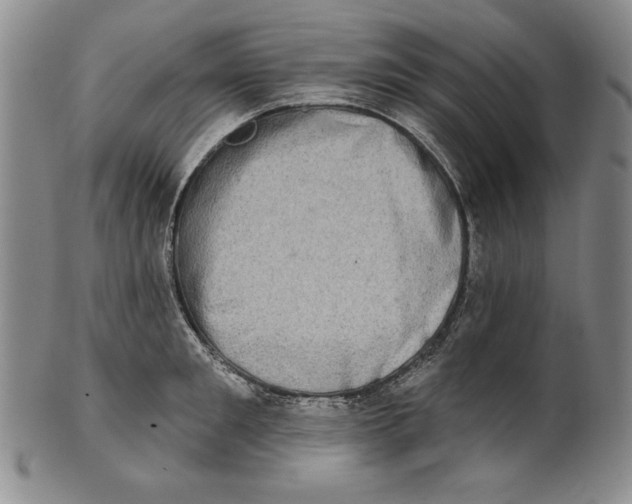 X0000101970901200808081548