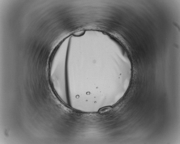 X0000101970902200808081548