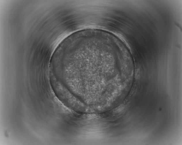 X0000101970903200808081548