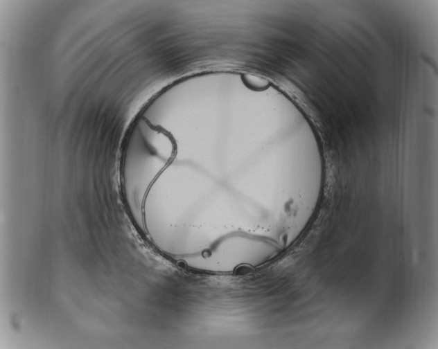 X0000101970904200808081548