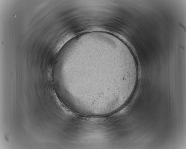 X0000101970905200808081548