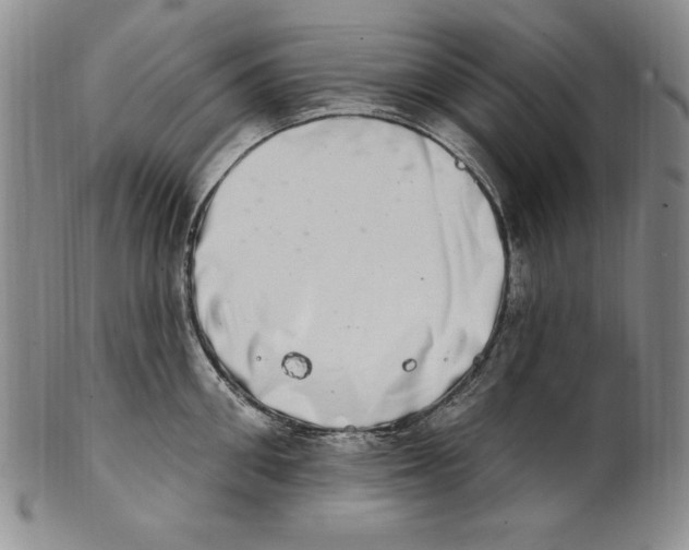 X0000101970906200808081548