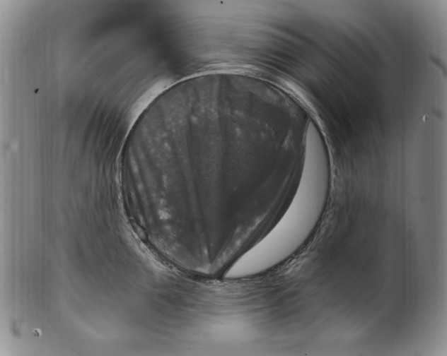 X0000101970907200808081548