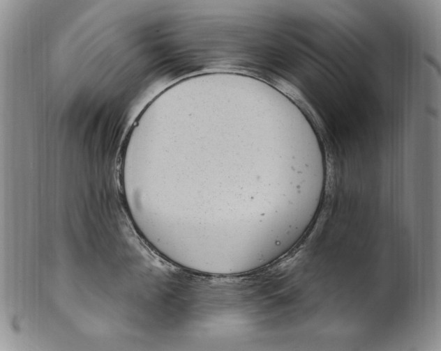 X0000101970908200808081548