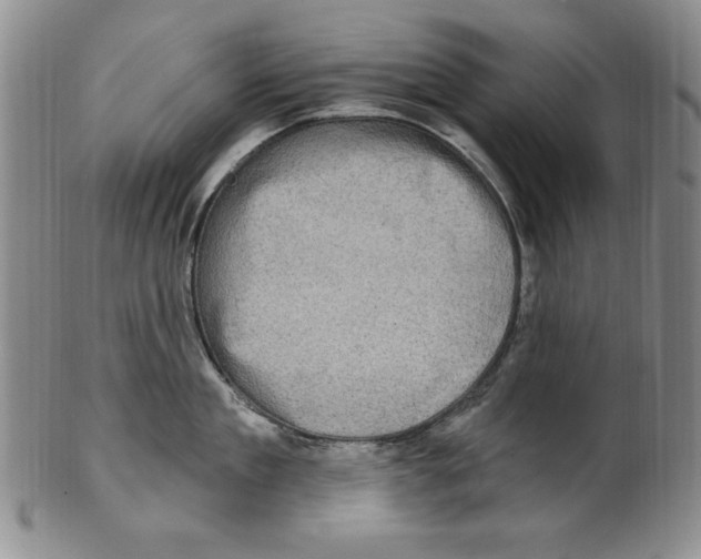 X0000101970909200808081548