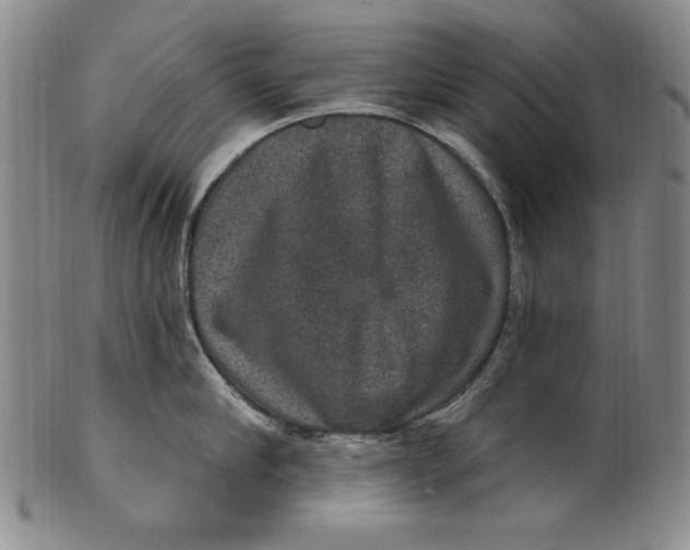 X0000101970910200808081548