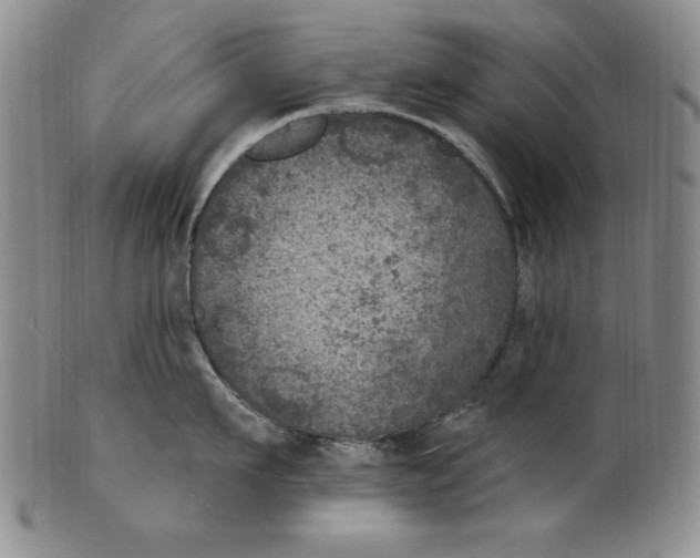 X0000101970911200808081548