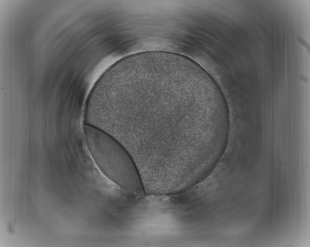 X0000101970912200808081548