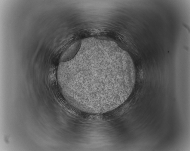 X0000101970914200808081547