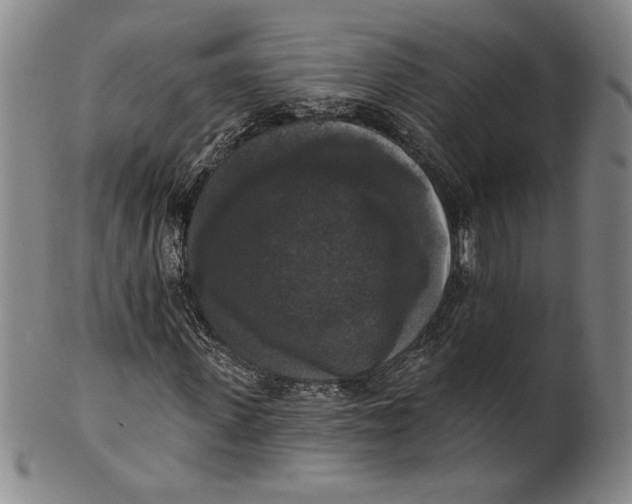 X0000101970915200808081547