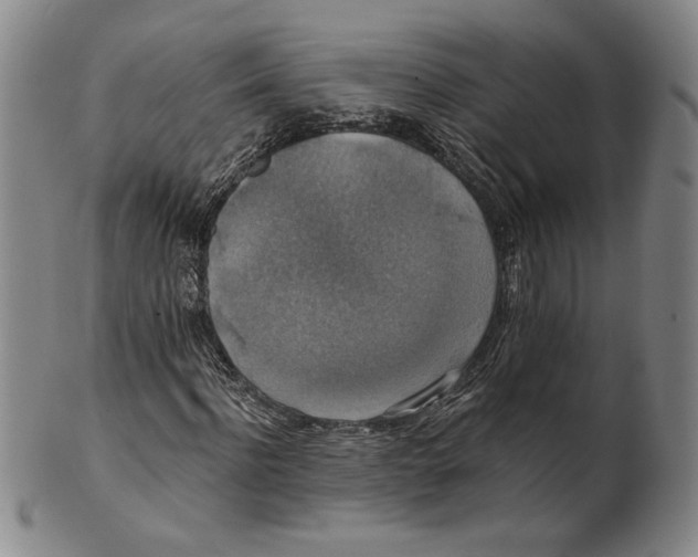 X0000101970916200808081547