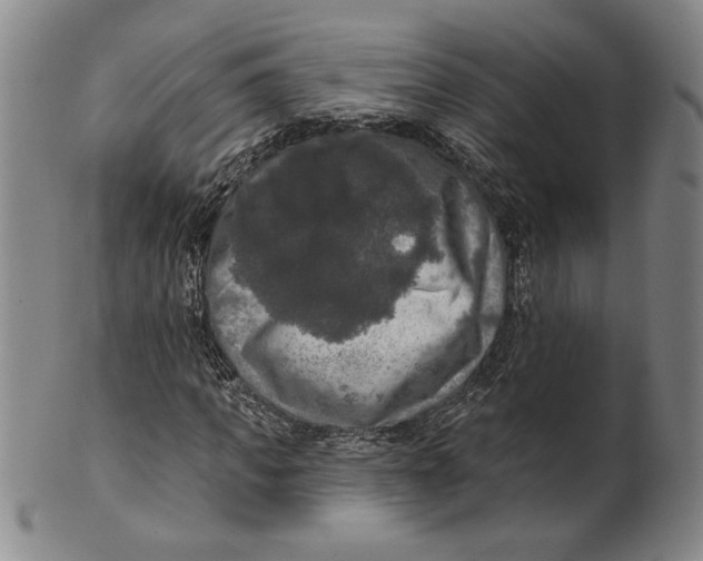 X0000101970917200808081547