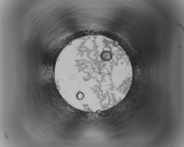 X0000101970918200808081547