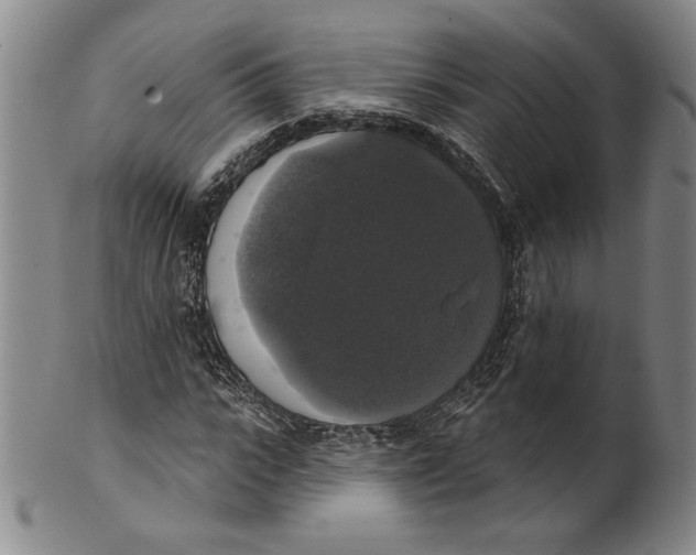 X0000101970919200808081547