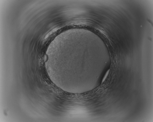 X0000101970920200808081547