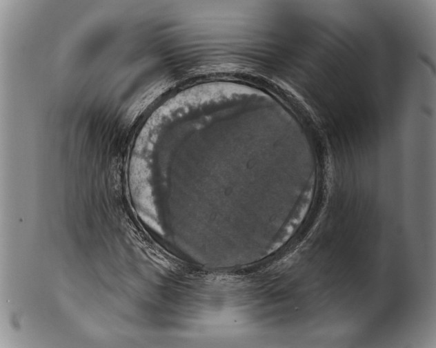 X0000101970921200808081547