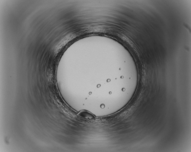 X0000101970922200808081547