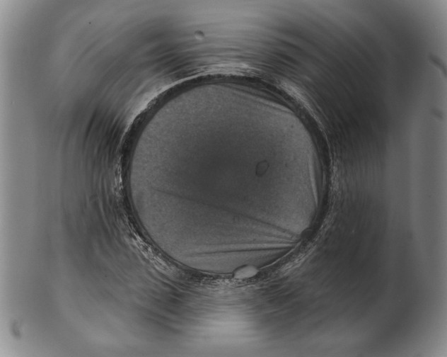 X0000101970923200808081547