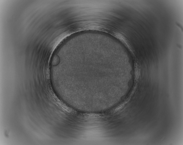 X0000101970924200808081548