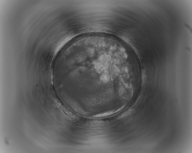 X0000101970925200808081548