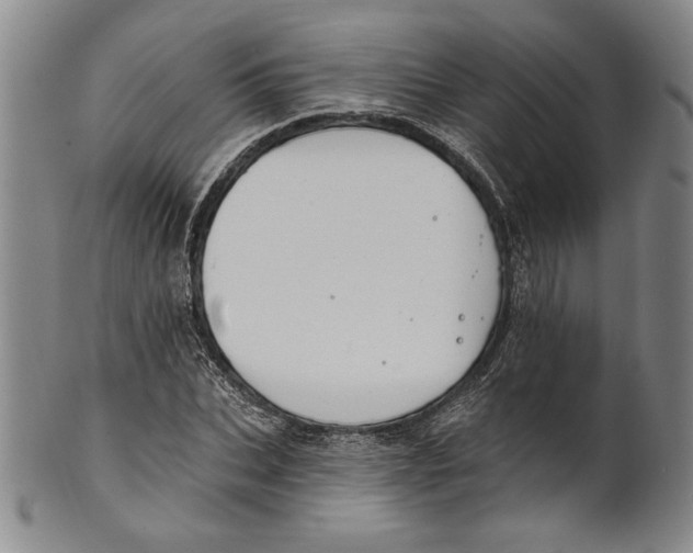 X0000101970927200808081548