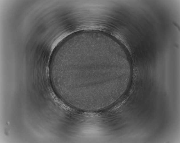 X0000101970928200808081548