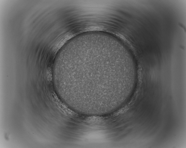 X0000101970929200808081548