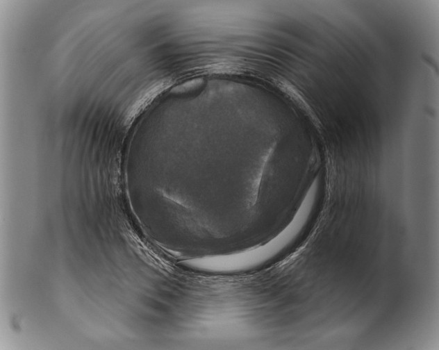 X0000101970930200808081548