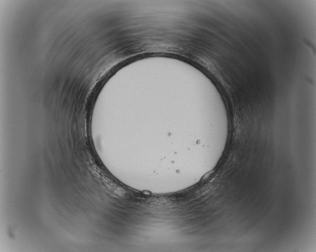 X0000101970931200808081548