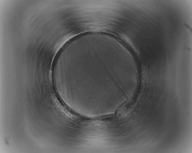 X0000101970932200808081548